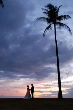 Wedding Photography
